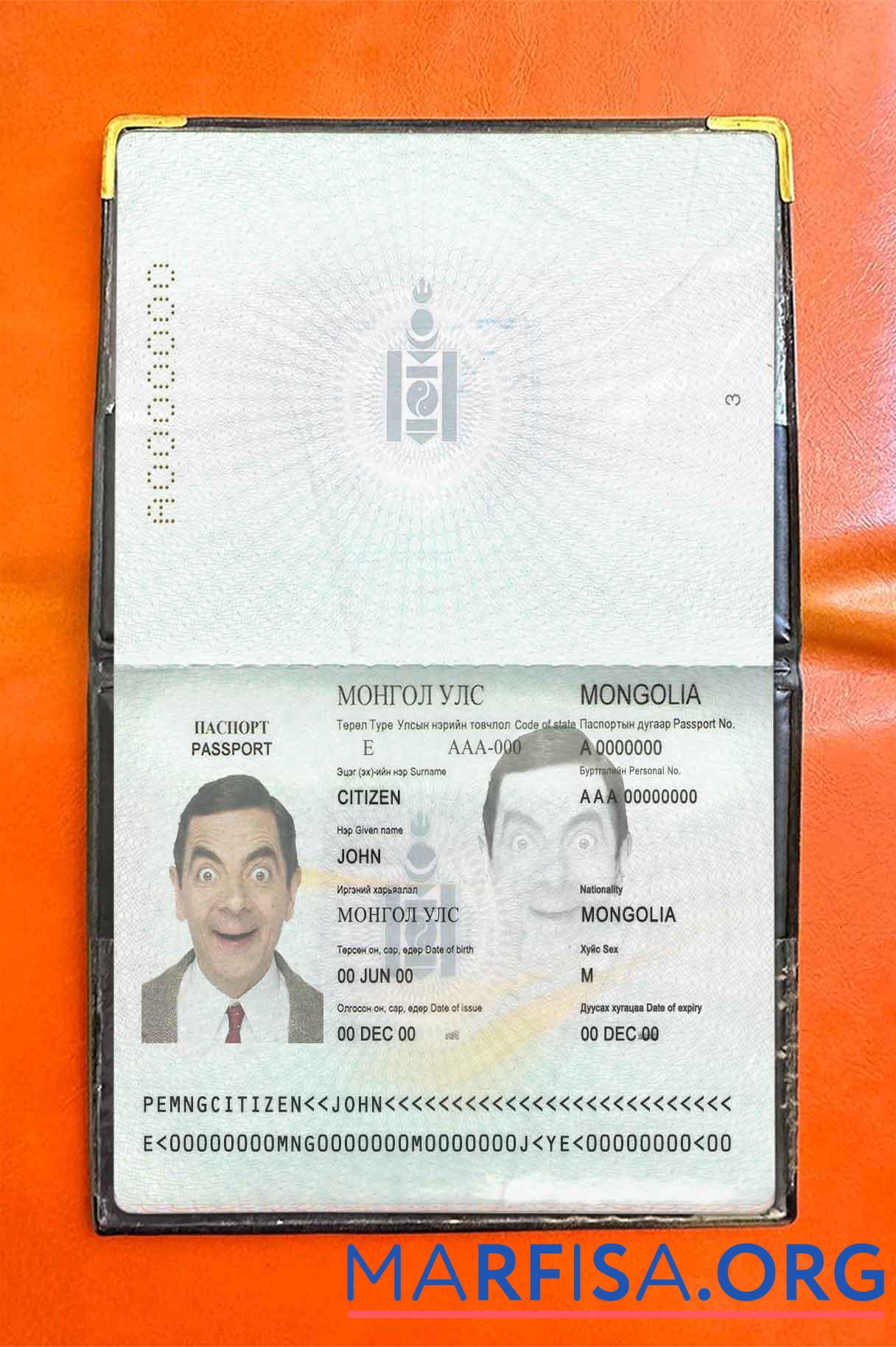 Downloadable Mongolia passport photo look real example